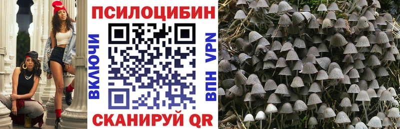 Псилоцибиновые грибы мицелий  mega ссылки  Семилуки  сколько стоит 