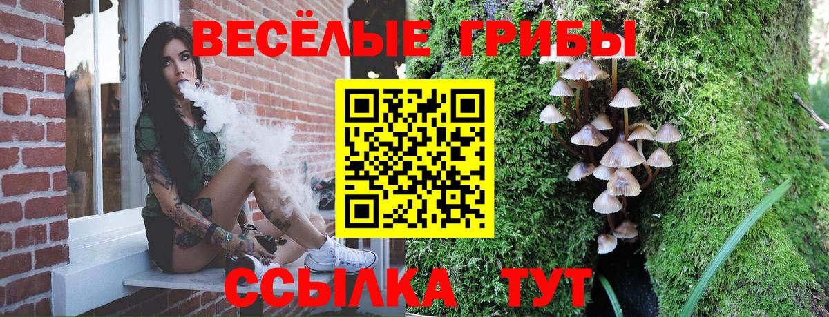 Семилуки  Галлюциногенные грибы мухоморы  Псилоцибиновые грибы мицелий  Вход с VPN 