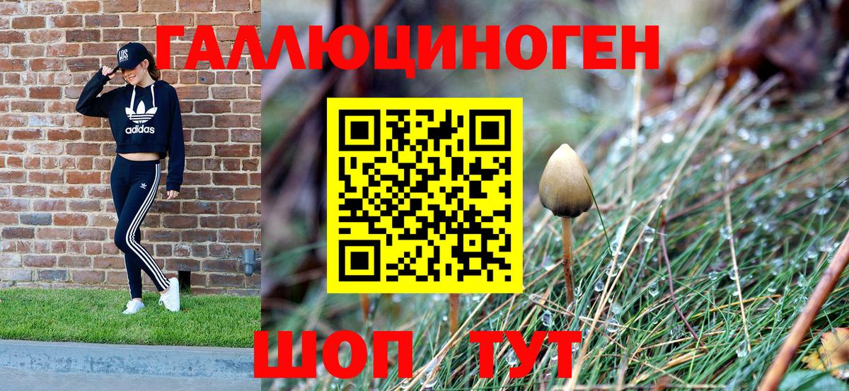 Псилоцибиновые грибы прущие грибы Семилуки